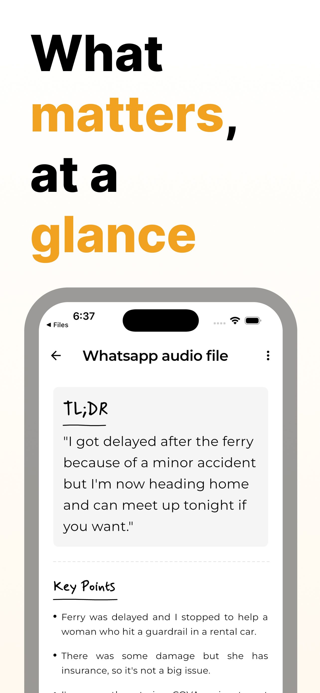 TLDRify: Voice Message Summary screenshot 3